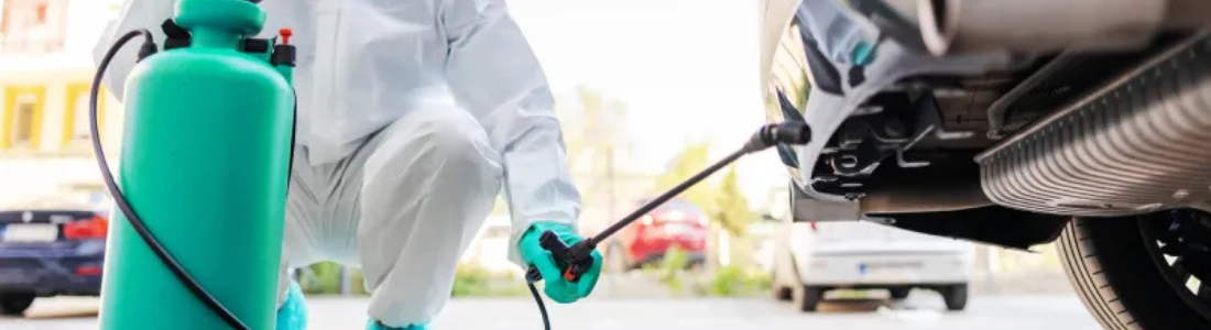 Dedetização Veicular em Santo André  24 HORAS